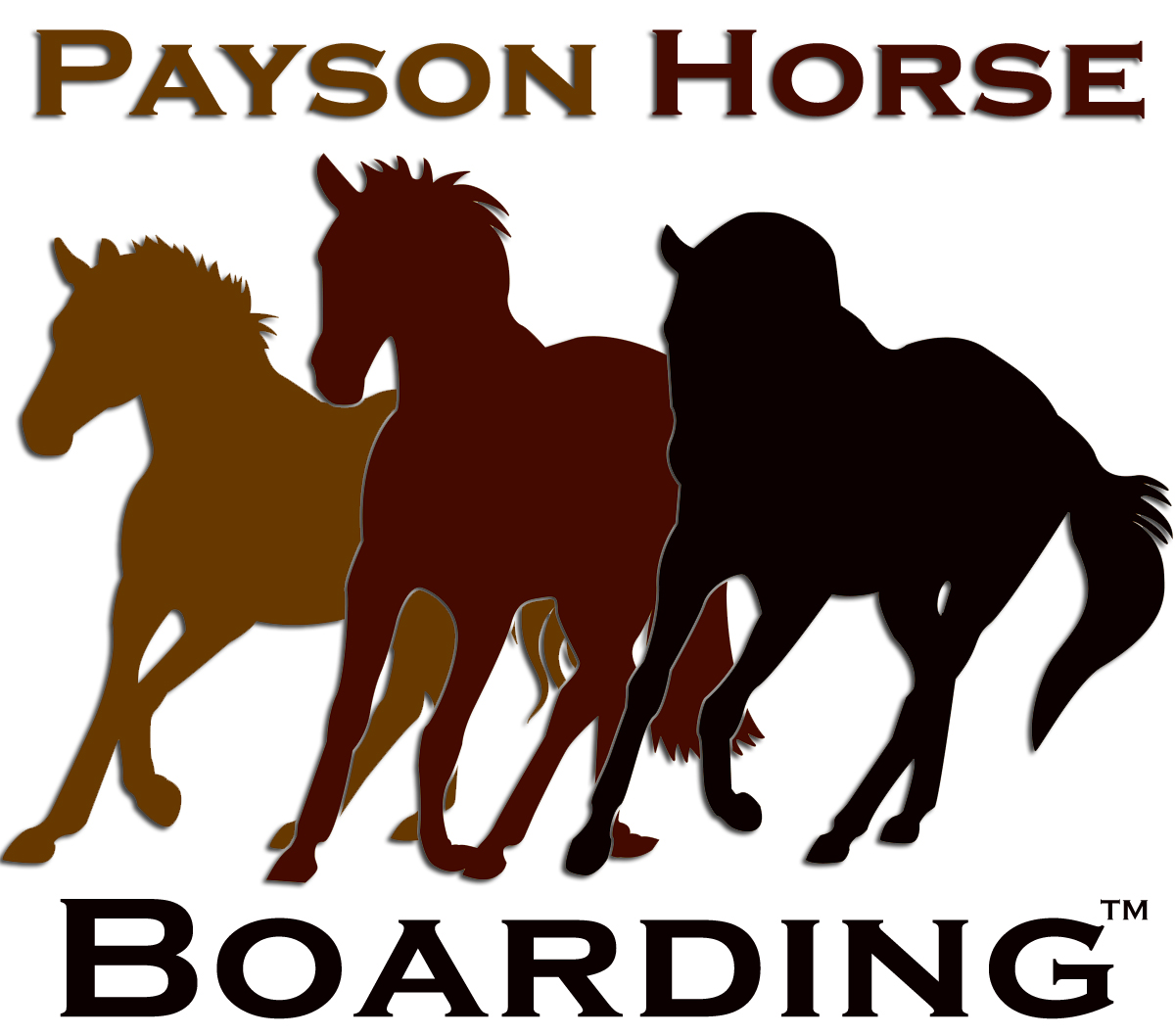 Contact Us Where horseplay is a way of life…